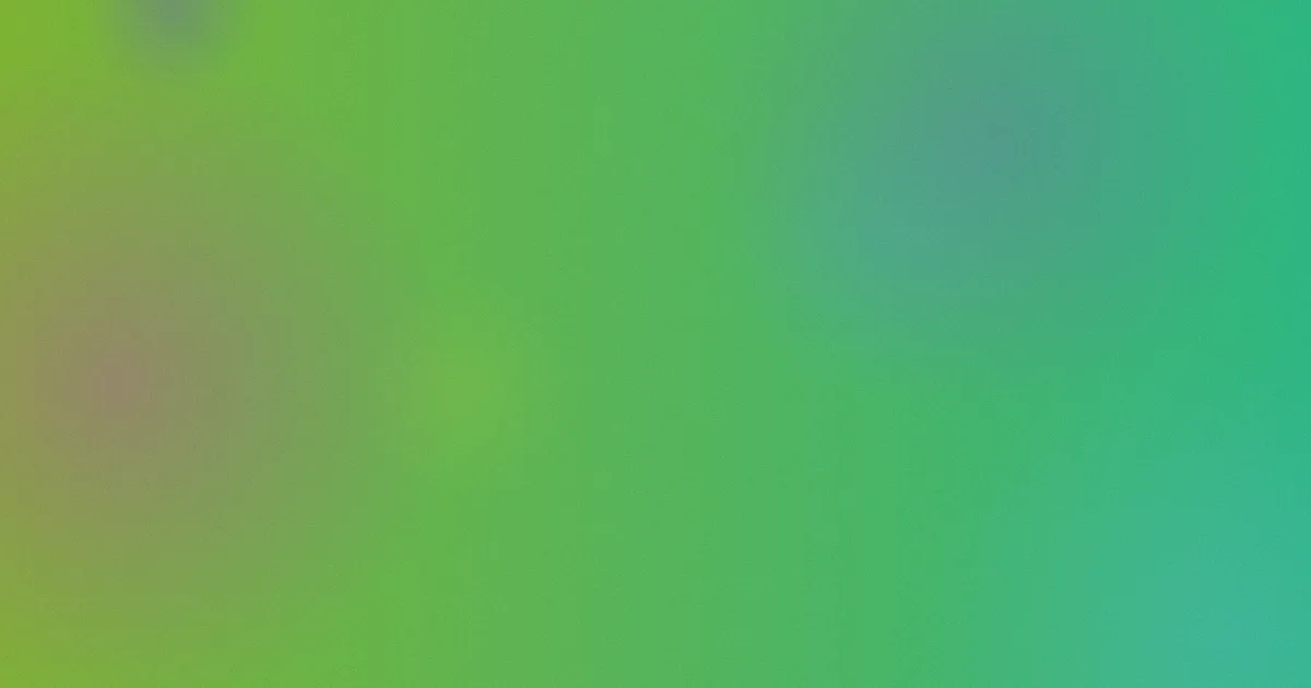 zw视频值得吗：清单式问答